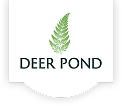 Deer Pond